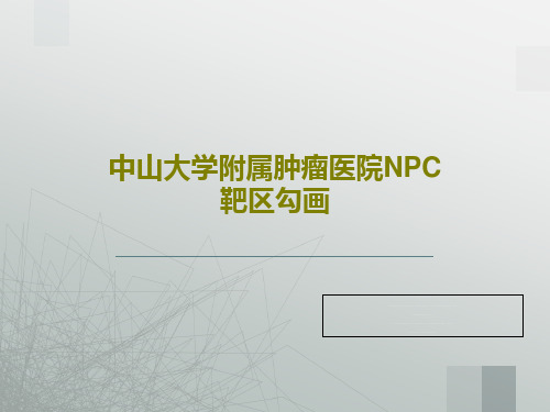 中山大学附属肿瘤医院NPC靶区勾画PPT181页