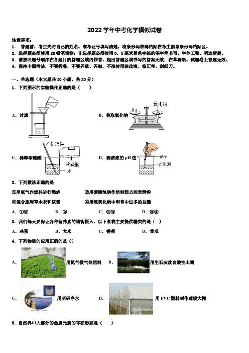 2022届山东省德州市经开区中考化学最后一模试卷(含解析)