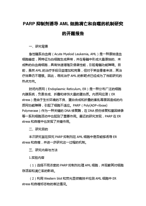 PARP抑制剂诱导AML细胞凋亡和自噬的机制研究的开题报告