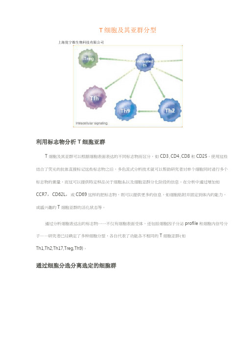 T细胞及其亚群分型