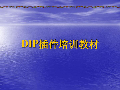 DIP插件培训教材解析