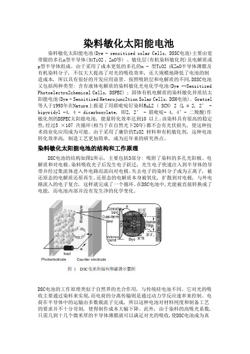 染料敏化太阳能电池