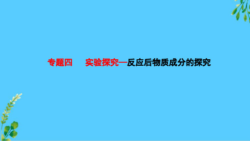 鲁教版九年级化学专题四   实验探究—反应后物质成分的探究  课件 