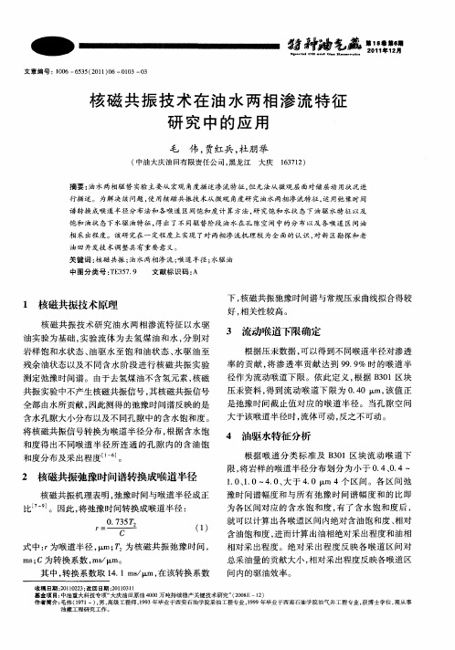 核磁共振技术在油水两相渗流特征研究中的应用