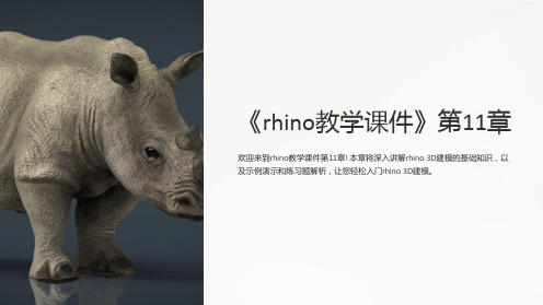 《rhino教学课件》第11章