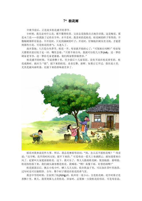 《桂花雨》电子课文 (2)