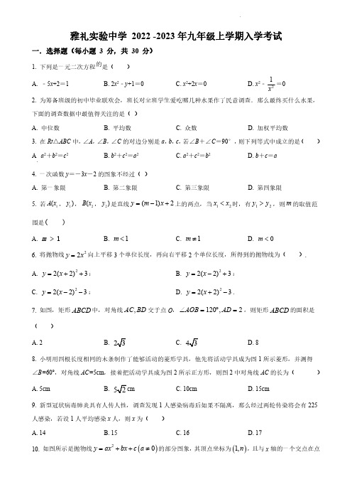 2022-2023雅礼实验中学 初三入学考试 数学试卷(含答案)