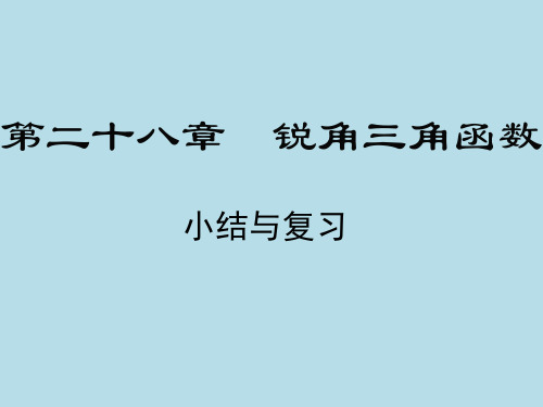 锐角三角函数小结与复习