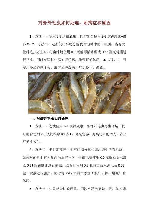 对虾纤毛虫如何处理,附病症和原因