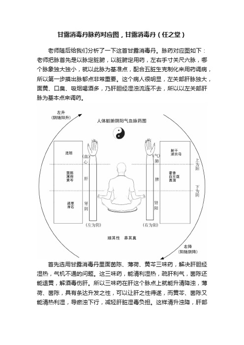 甘露消毒丹脉药对应图，甘露消毒丹（任之堂）