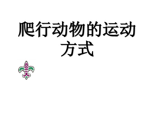 爬行动物的运动方式