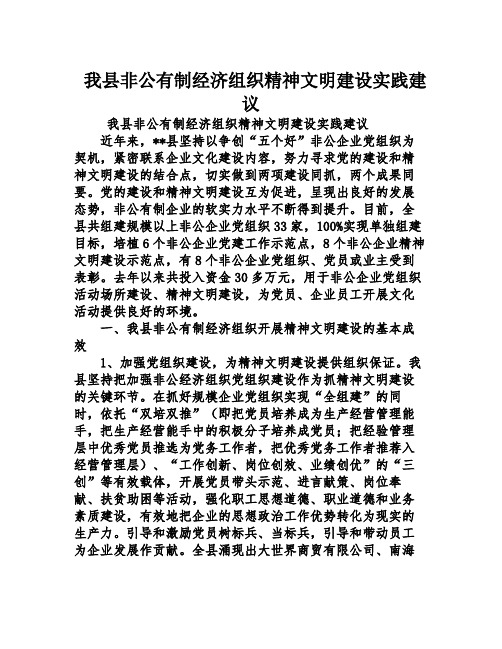 我县非公有制经济组织精神文明建设实践建议