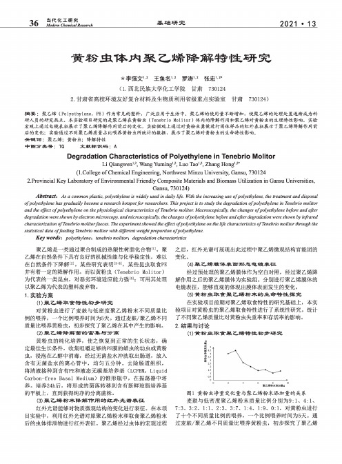 黄粉虫体内聚乙烯降解特性研究