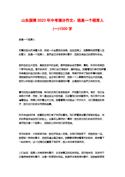 山东淄博2023年中考满分作文：我是一个稻草人(一)