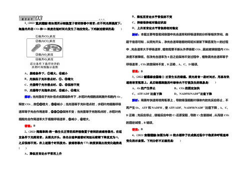 2022版《红对勾讲与练》高考生物人教版二轮复习练习：4光合作用与细胞呼吸 Word版含答案