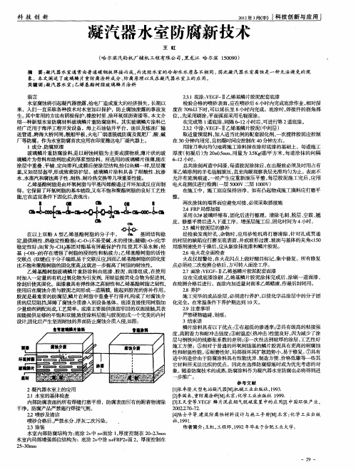 凝汽器水室防腐新技术