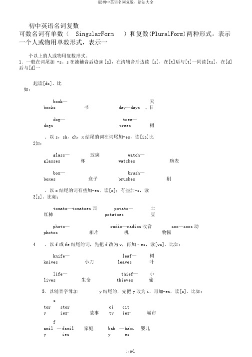 版初中英语名词复数、语法大全