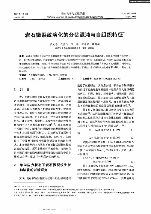 岩石微裂纹演化的分岔混沌与自组织特征