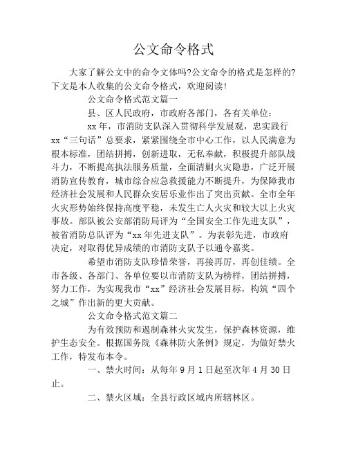 公文命令格式