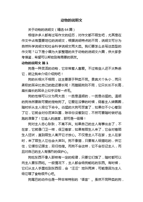 关于动物的说明文（精选64篇）