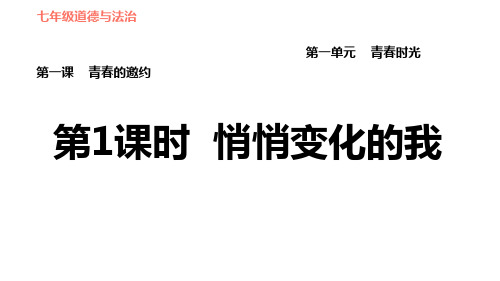 人教版道德与法治七年级下册悄悄变化的我