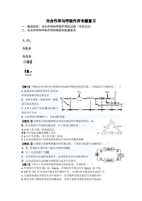 光合作用和呼吸作用专题复习