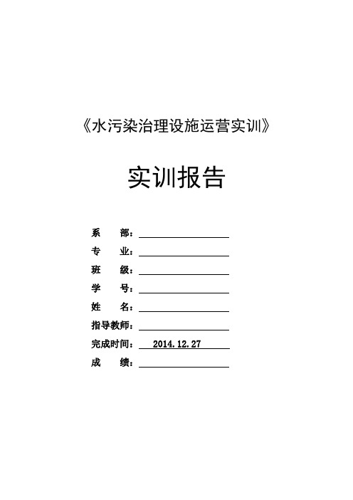 水污染治理设施运营实训