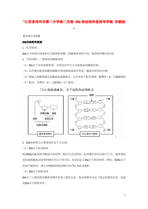 江苏省邳州市第二中学高二生物 DNA的结构和复制导学案