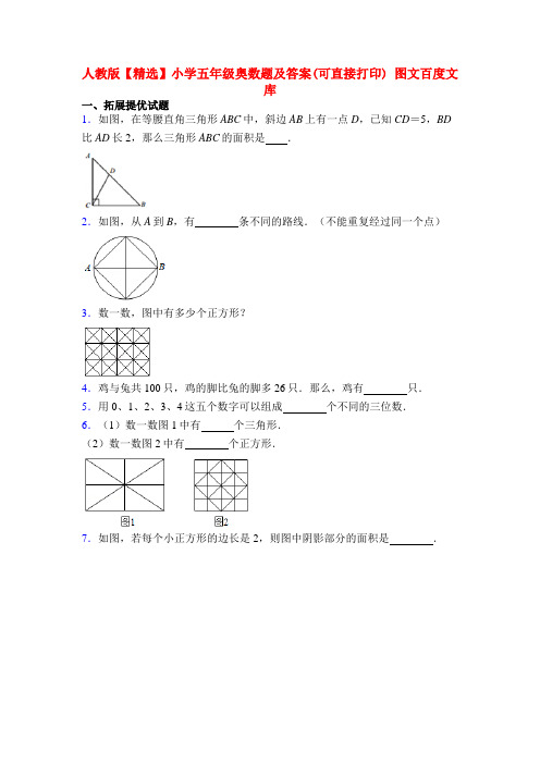 人教版【精选】小学五年级奥数题及答案(可直接打印) 图文百度文库