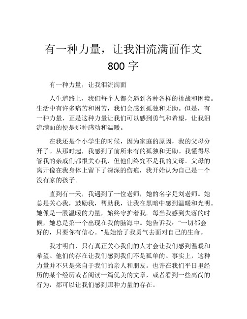 有一种力量,让我泪流满面作文800字