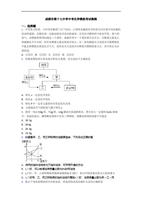 成都市第十七中学中考化学模拟考试集锦