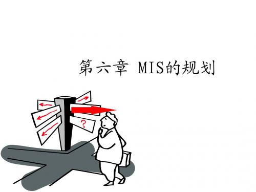 第六章 MIS的规划