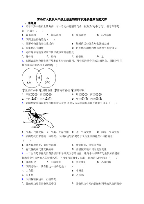 青岛市人教版八年级上册生物期末试卷及答案百度文库