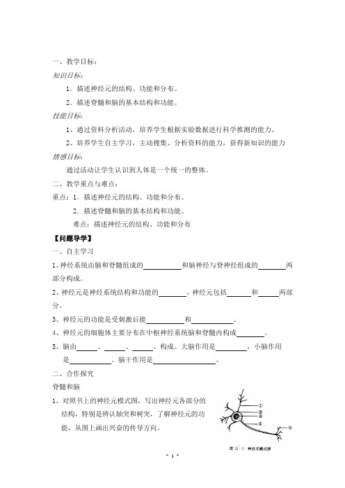 12.2人体的神经调节  学案 (2)