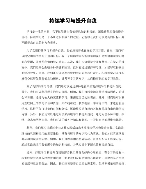 持续学习与提升自我