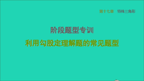 河北专版八上第17章特殊三角形阶段题型专训利用勾股定理解题的常见题型冀教版