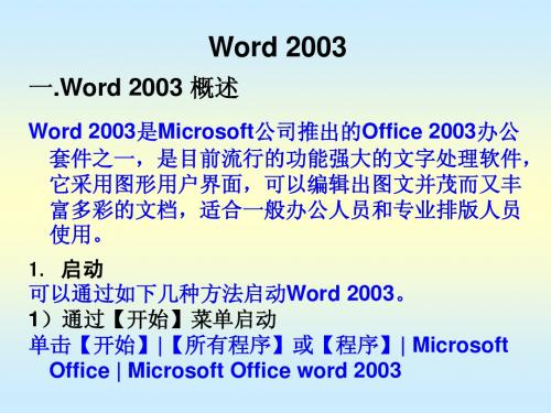 Word 2003