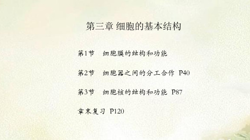 2021新版人教版高中生物必修1分子与细胞 第三章 细胞的基本结构 教学课件