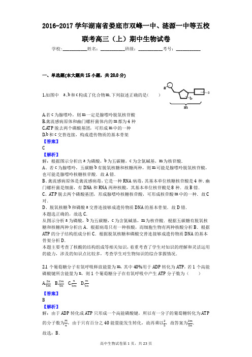 2016-2017学年湖南省娄底市双峰一中、涟源一中等五校联考高三(上)期中生物试卷