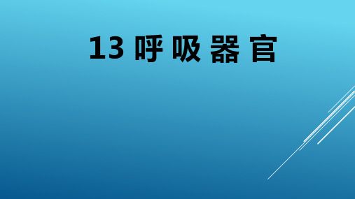 人教鄂教版三年级上册科学呼吸器官