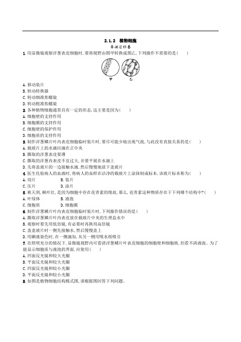 068.人教版七年级生物上册2.1.2 植物细胞-课时练