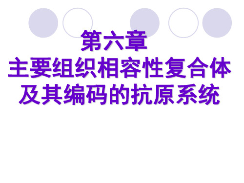 主要组织相容性复合体及其编码的抗原系统