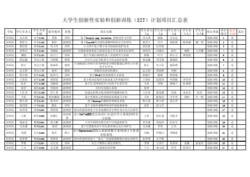 2013校级SIT项目汇总表(信科院)