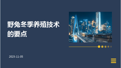 野兔冬季养殖技术的要点