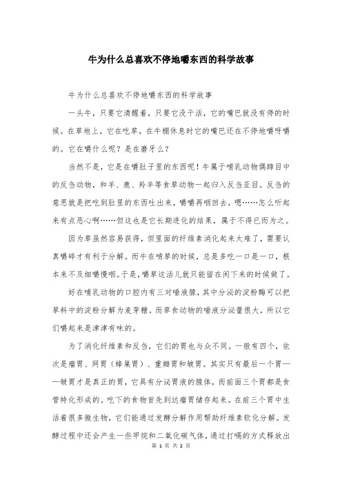 牛为什么总喜欢不停地嚼东西的科学故事