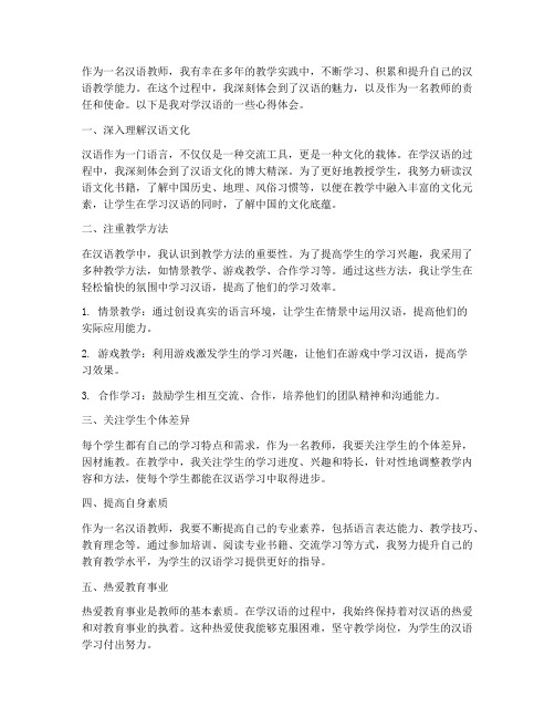 教师学汉语心得体会