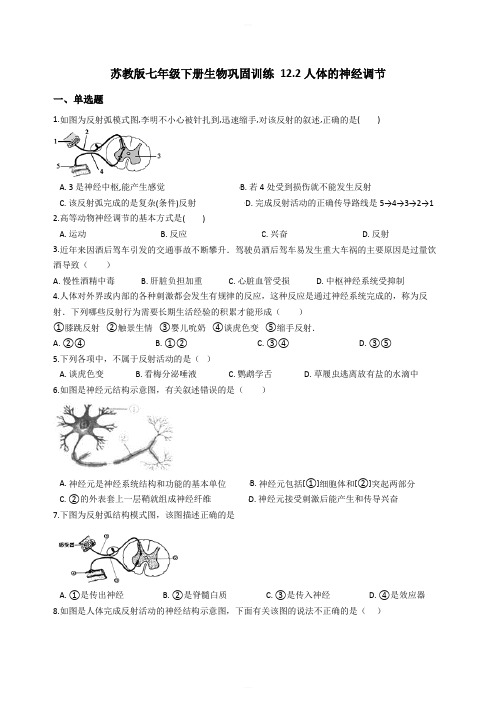 苏教版七年级下册生物巩固训练 12.2人体的神经调节