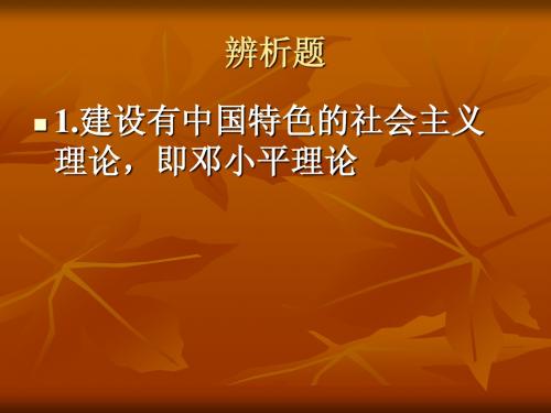 毛邓三复习辨析题