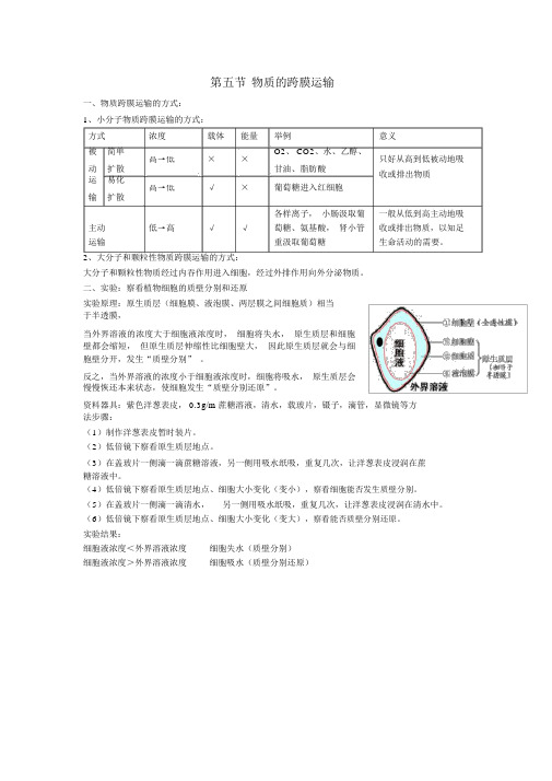 2022届高考生物一轮复习第五节物质的跨膜运输