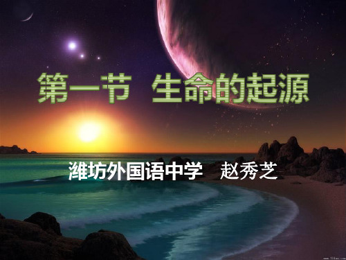 济南版八年级下册生物《第一节 生命的起源》(一等奖课件) (1)